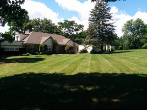 large lawn of property in Kitchener on Edgehill Drive