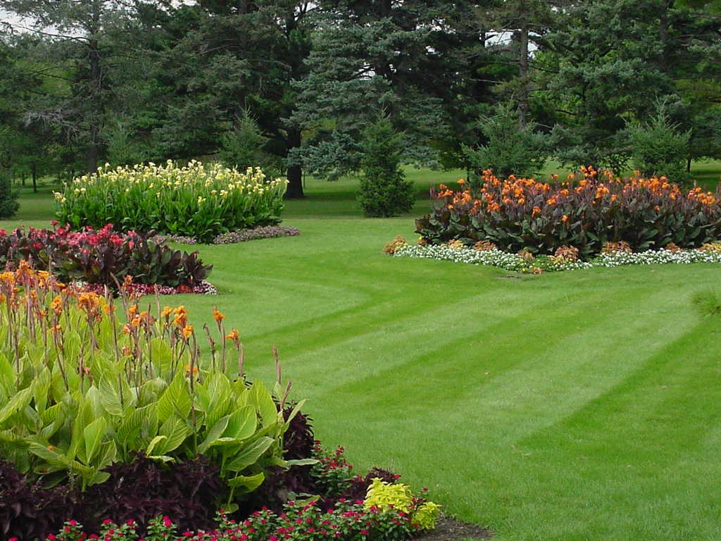 lawn and garden of property in kitchener