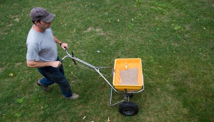 man applying fertilizer to lawn using yellow spreader cart