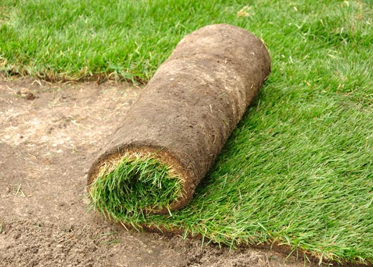 sod being unrolled on new lawn