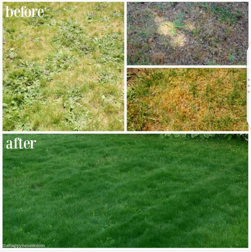 maple-leaf-maintenance-kitchener-before-and-after-1