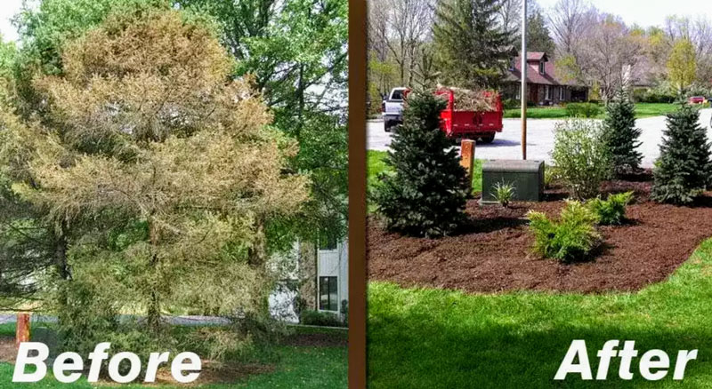 maple-leaf-maintenance-kitchener-before-and-after-6